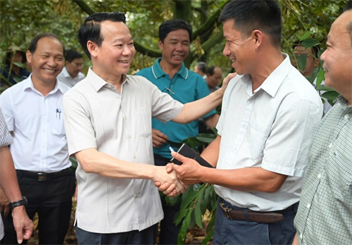 KIỂM SOÁT SẦU RIÊNG TỪ GỐC, TRÁNH TÌNH TRẠNG BỊ TRẢ HÀNG